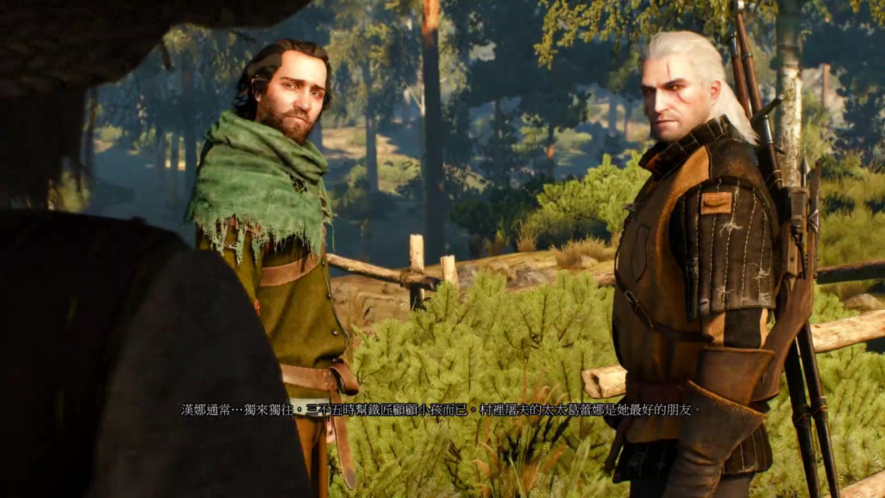 Steam常年打骨折25元，波蘭蠢驢的《巫師3：狂獵》