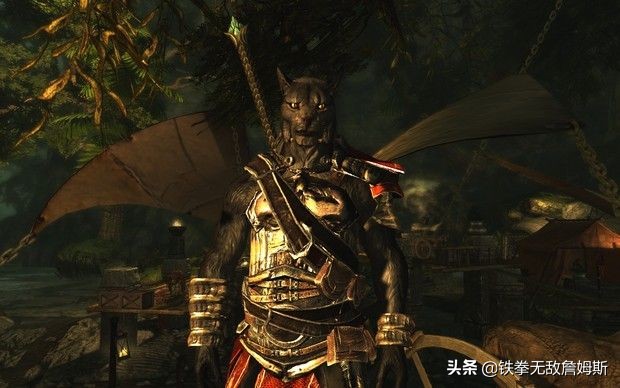 玩《上古卷軸 5》選哪個種族?游戲中10個種族的詳細設定天賦收藏