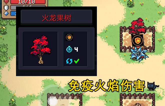 元氣騎士：7種天賦植物介紹，冬蟲夏草稀有，七色堇作用大