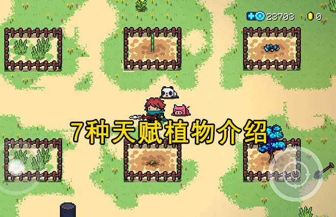 元氣騎士：7種天賦植物介紹，冬蟲夏草稀有，七色堇作用大