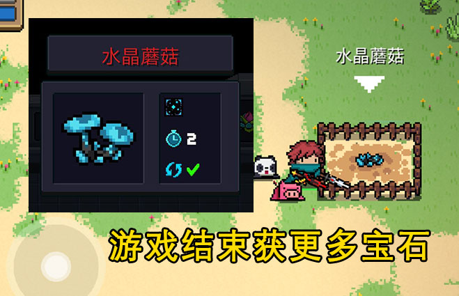 元氣騎士：7種天賦植物介紹，冬蟲夏草稀有，七色堇作用大