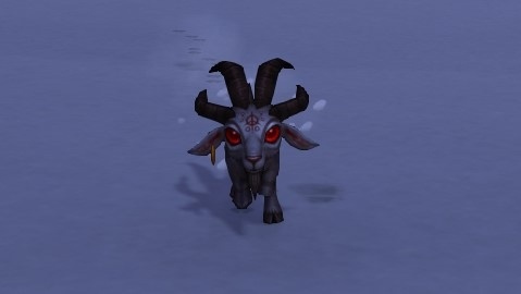 《魔獸世界》隱藏寵物巴爾解密全程