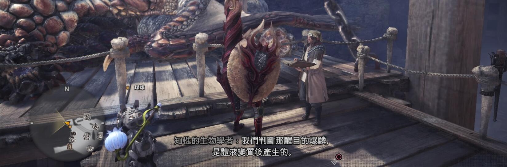 怪物獵人圖鑒Ⅻ——飛龍種（六）