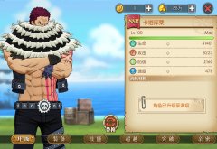海賊王燃燒意志攻略（海