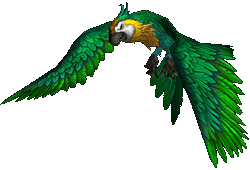 魔獸世界:8.0獵人寵物信息大全