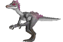 魔獸世界:8.0獵人寵物信息大全