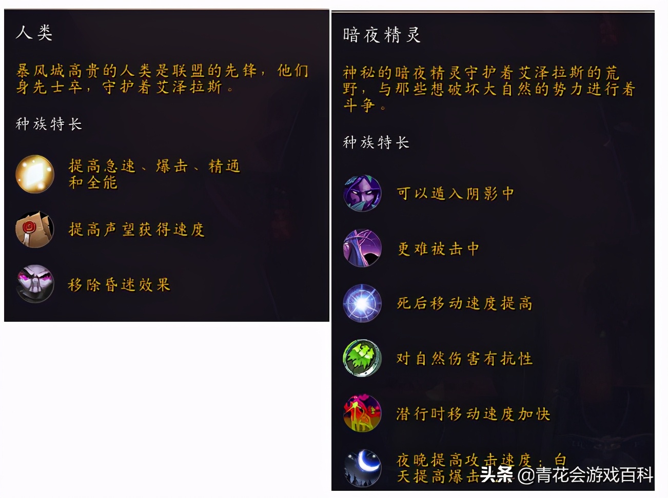 給純新人看的《魔獸世界》入門指南