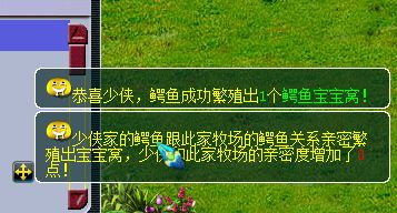 夢幻西游：新區養號攻略，教你花最少的錢玩轉最強的五開
