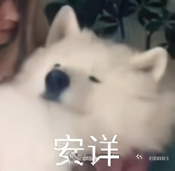 陰陽師：一些鮮為人知的小貼士，學到就是賺到