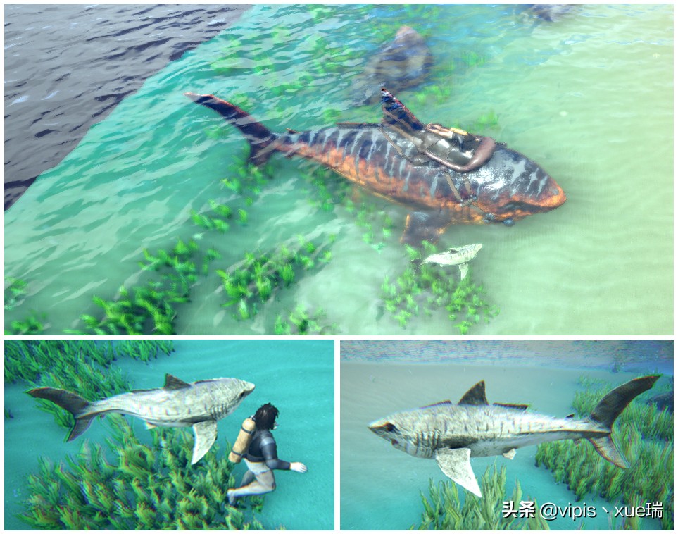 方舟生存進化生物篇—巨齒鯊