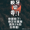 方舟生存進化生物篇—巨齒鯊