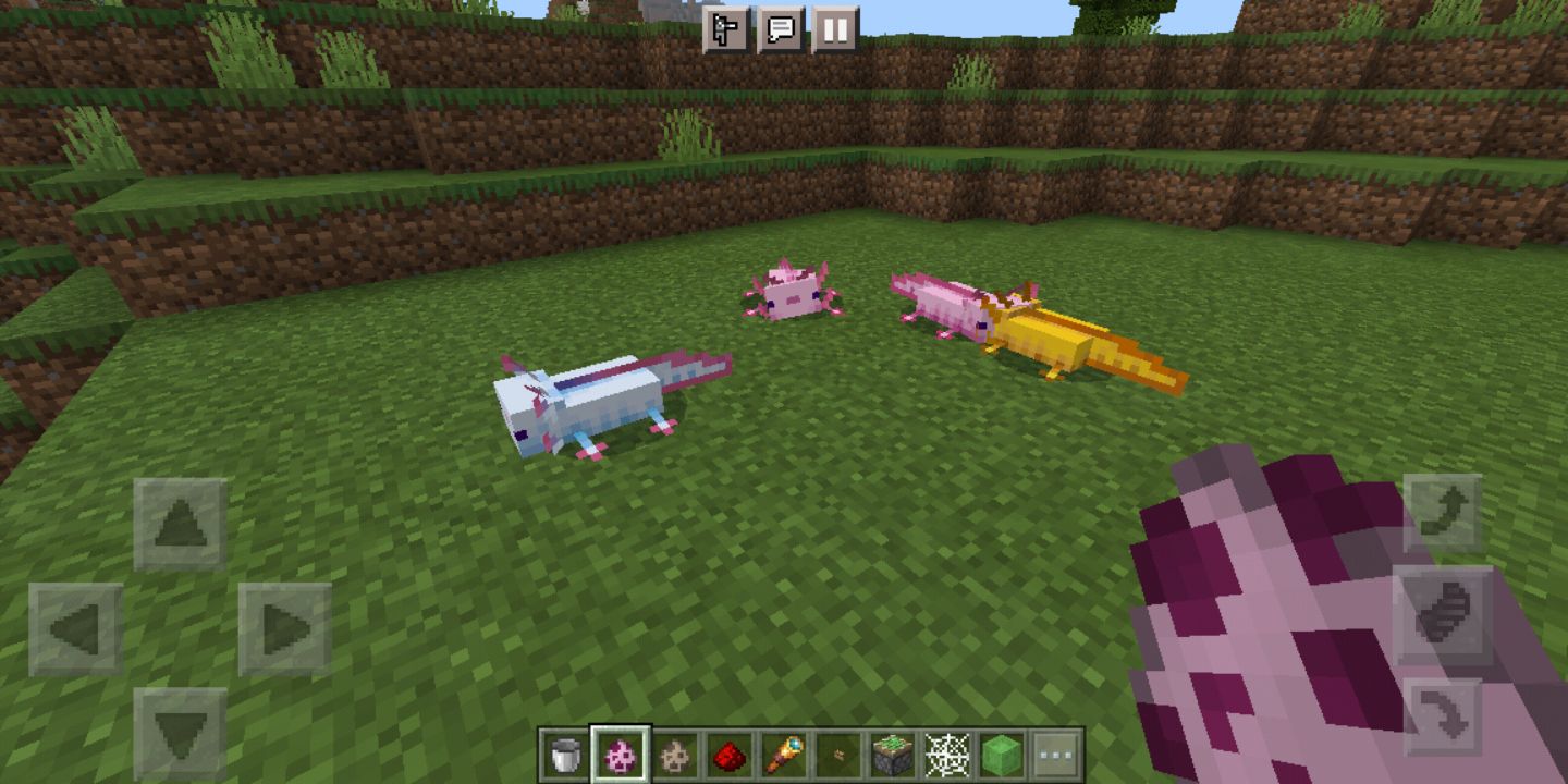 我的世界minecraft國際版1.17更新匯總
