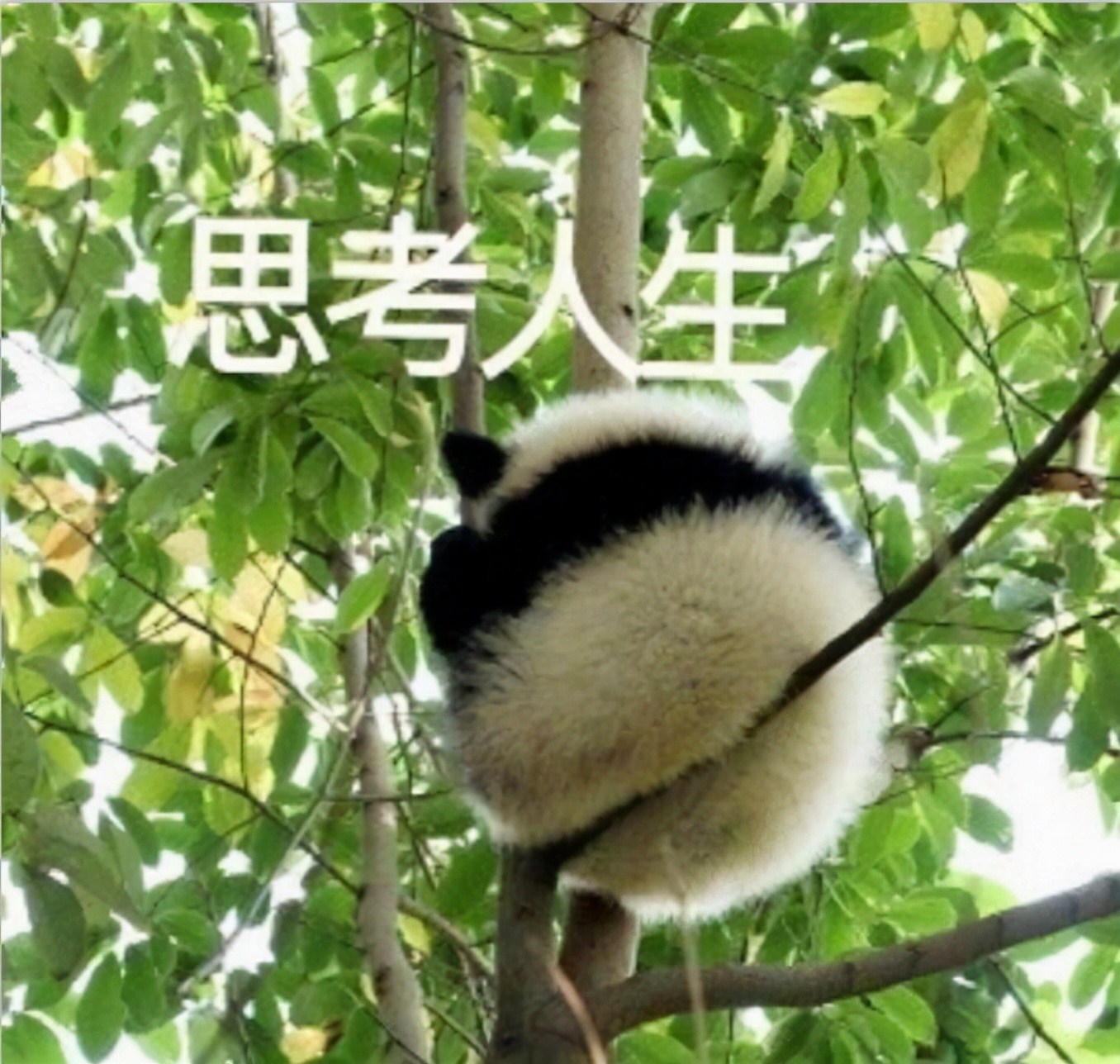 LOL手游中怎么玩好打野？一篇文章教會你