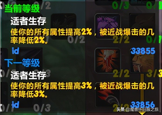 魔獸世界TBC:德魯伊升級天賦推薦與解析，野德天賦能打能抗