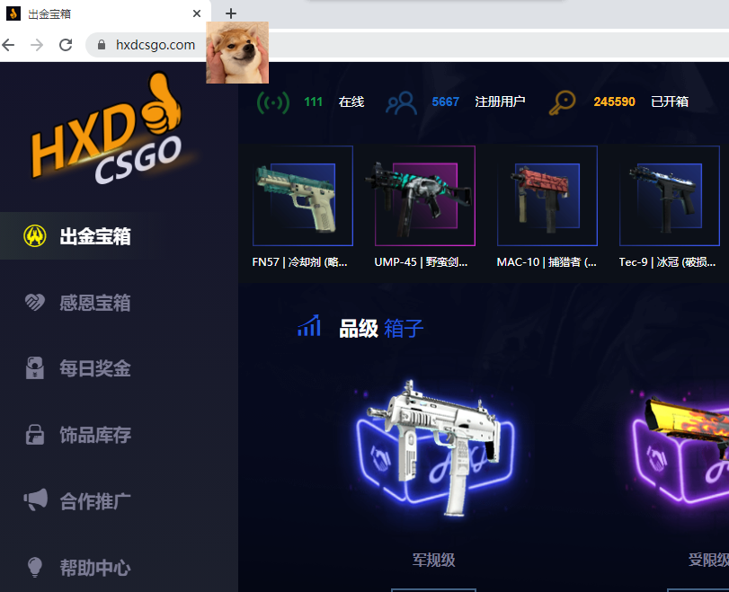 hxdcsgo開箱怎么樣？為什么csgo的武器那么貴？