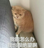 LOL其實有16個被取消開發的英雄？他們曾經都真實存在過