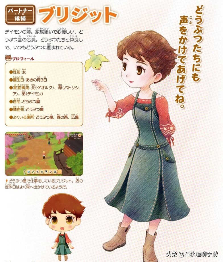 《牧場物語 橄欖鎮》第一年秋攻略:最強賺錢法/尋找野生動物