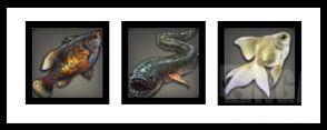 最終幻想14:采集職業捕魚人全流程攻略&個人心得分享