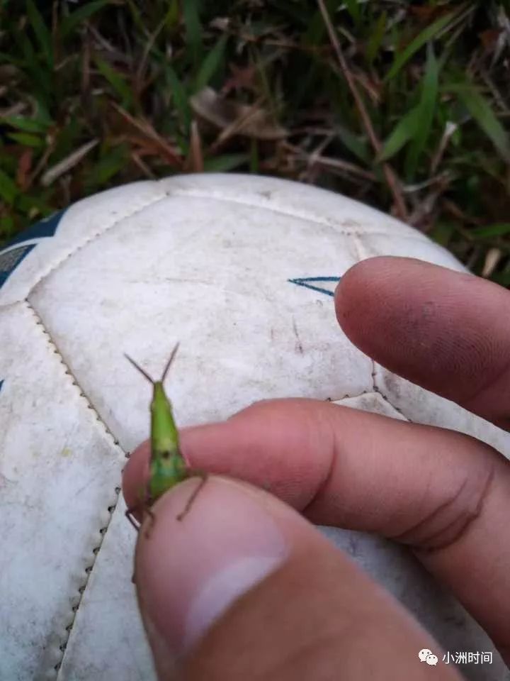 魔獸世界懷舊之AFK篇