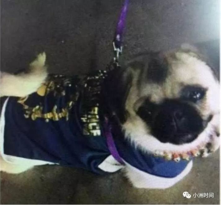 魔獸世界懷舊之AFK篇