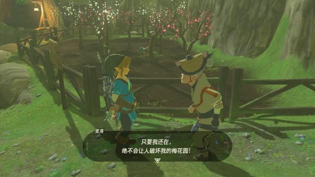 塞爾達傳說卡卡村隱藏神廟