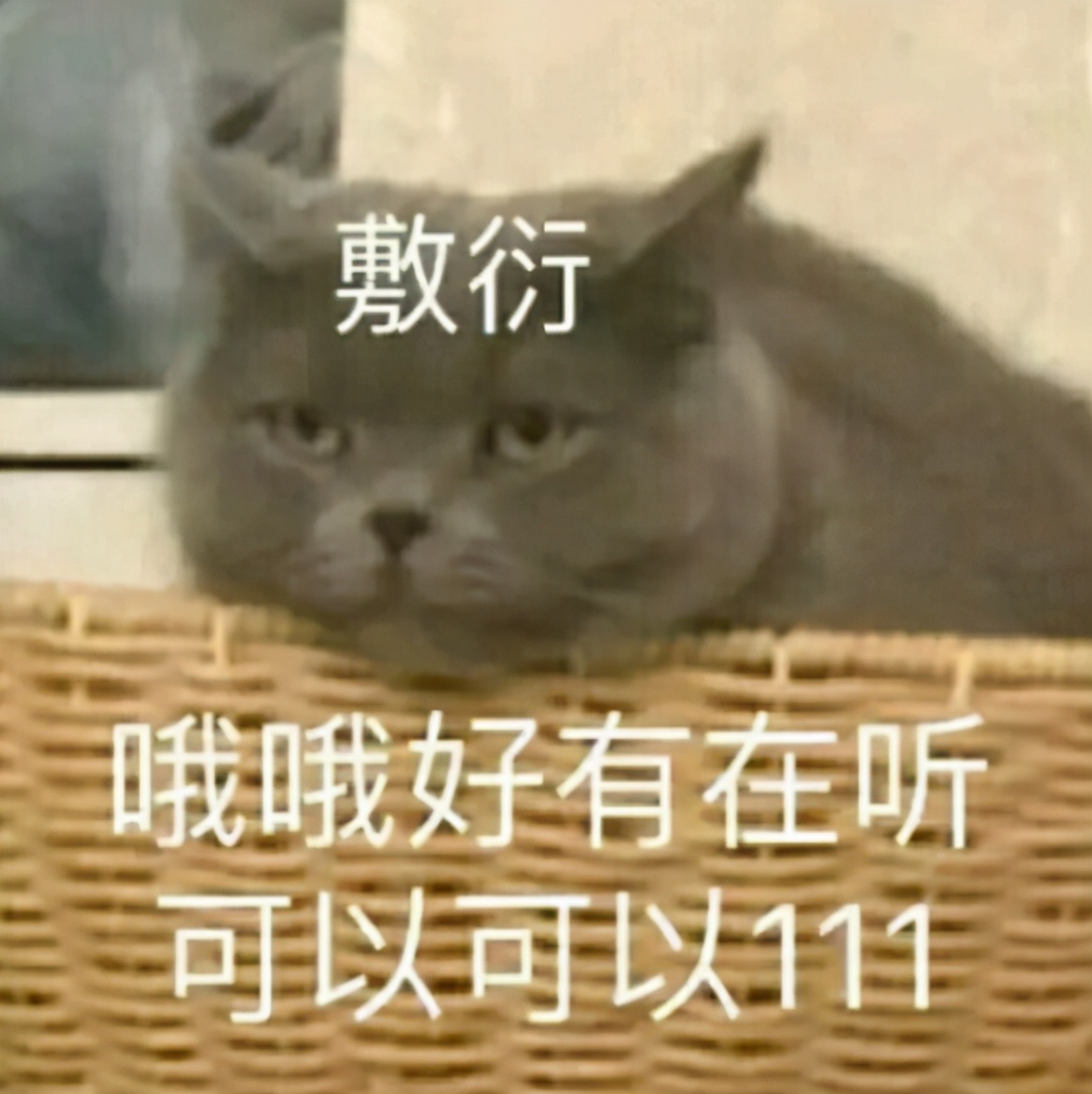 雙擊W直接起飛，劍網三玩家的習慣性操作，竟讓游戲大神不知所措