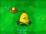 植物大戰僵尸1原版經典版，最原始版本