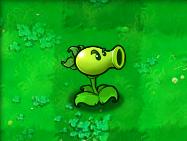 植物大戰僵尸1原版經典版，最原始版本