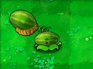植物大戰僵尸1原版經典版，最原始版本