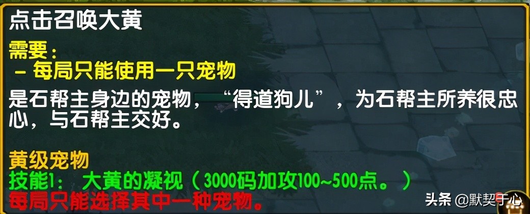 《默契于心》魔獸爭霸3:混亂武林·蒼山負雪·攻略·令牌寵物篇