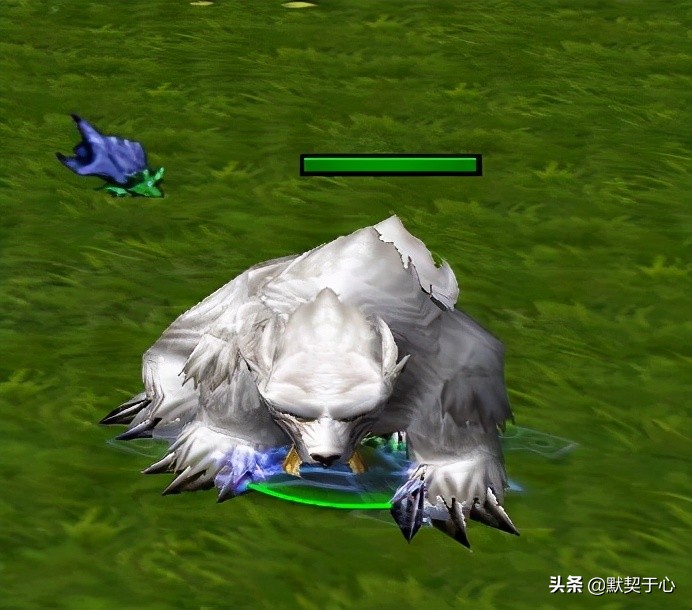 《默契于心》魔獸爭霸3:混亂武林·蒼山負雪·攻略·令牌寵物篇