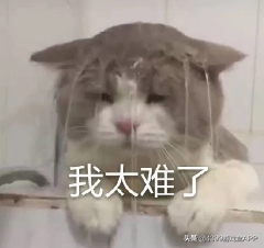 奧拉星：75以前全套攻略，萌新必備，一起和彎路說再見