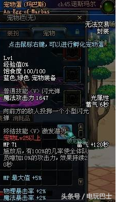 DNF能交易的寵物推薦 價格便宜非常適合小號