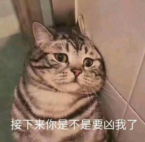 九陰真經里竟然可以綁架玩家，賣去酒樓、黑市，還能賣到那里去！