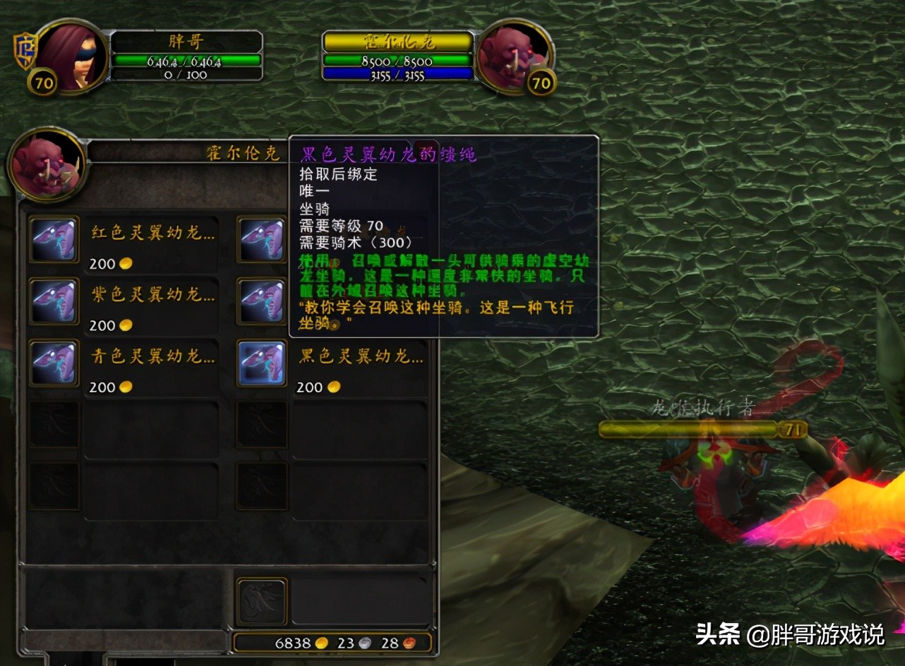 魔獸懷舊服：TBC各類飛行坐騎獲取方法，聲望坐騎其實并不難拿
