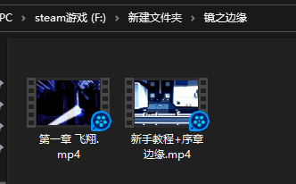 玩了十幾個小時 淺談一下《鏡之邊緣》這款游戲