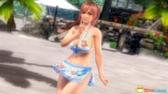 死或生5最后一戰下載（