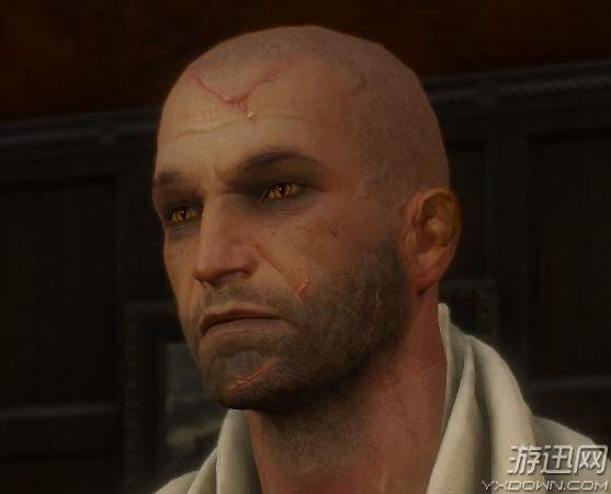 《巫師3》最新鬼畜MOD：希里和葉奈法換臉怎么樣？