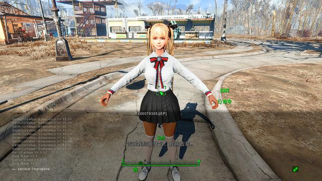輻射4給NPC捏臉使用種族MOD后出現黑皮等一系列問題的解決辦法