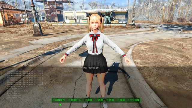輻射4給NPC捏臉使用種族MOD后出現黑皮等一系列問題的解決辦法
