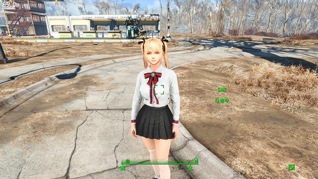 輻射4給NPC捏臉使用種族MOD后出現黑皮等一系列問題的解決辦法