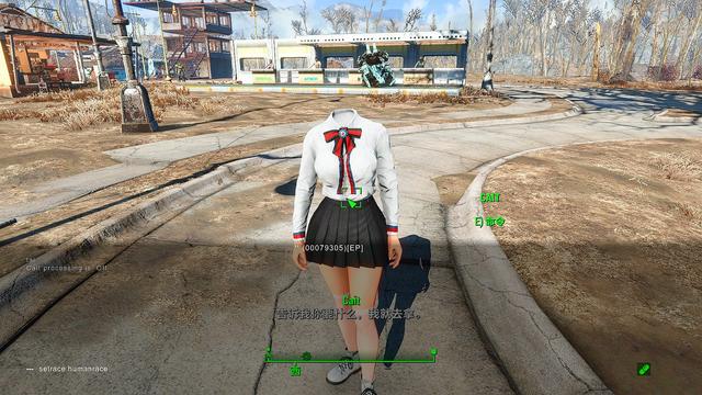 輻射4給NPC捏臉使用種族MOD后出現黑皮等一系列問題的解決辦法