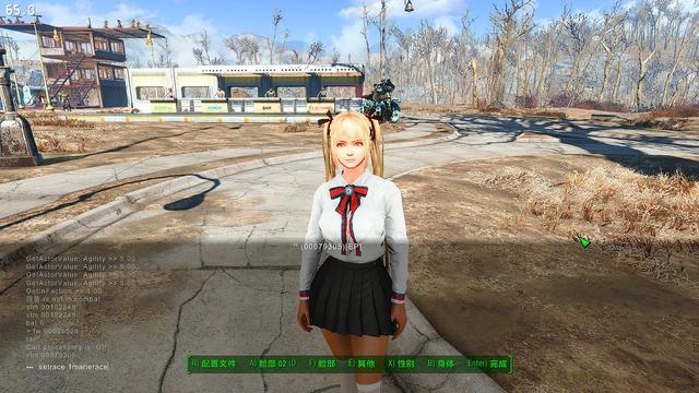 輻射4給NPC捏臉使用種族MOD后出現黑皮等一系列問題的解決辦法