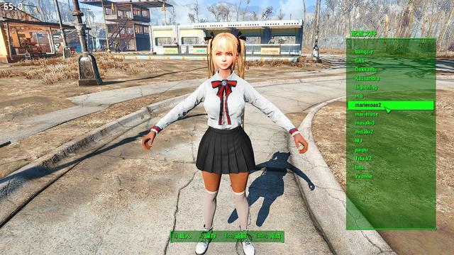 輻射4給NPC捏臉使用種族MOD后出現黑皮等一系列問題的解決辦法
