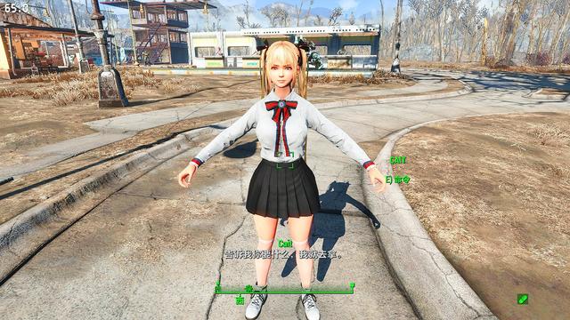 輻射4給NPC捏臉使用種族MOD后出現黑皮等一系列問題的解決辦法