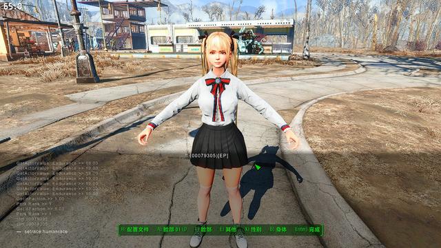輻射4給NPC捏臉使用種族MOD后出現黑皮等一系列問題的解決辦法