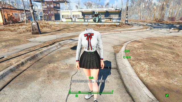 輻射4給NPC捏臉使用種族MOD后出現黑皮等一系列問題的解決辦法