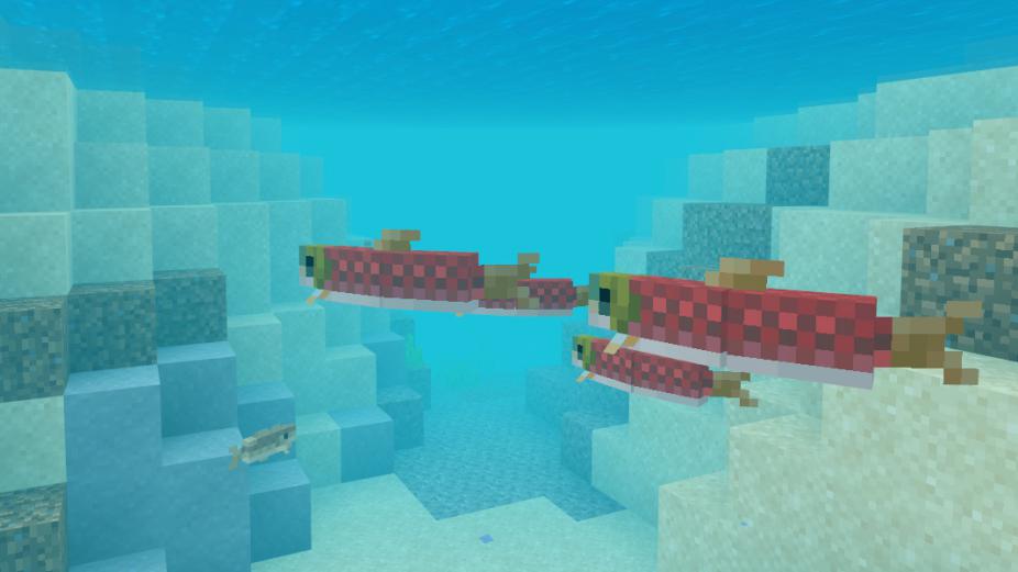 水底究竟有多少種魚？《我的世界》全自動釣魚機 讓你見識全魚宴