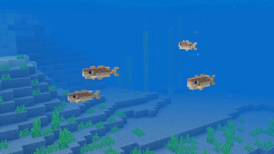 水底究竟有多少種魚？《我的世界》全自動釣魚機 讓你見識全魚宴