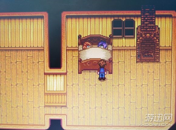 《星露谷物語》娶非單身NPC及NPC進入家方法詳解
